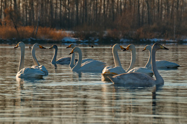 Similar image 21691506