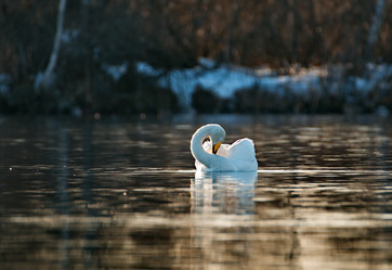 Similar image 21691512