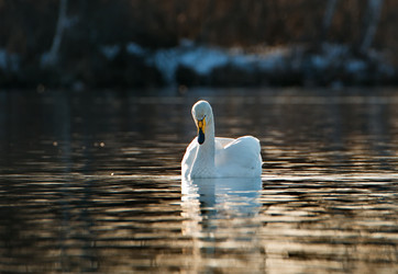 Similar image 21691514