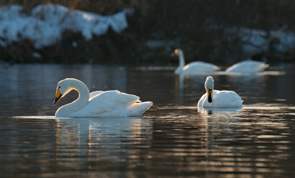 Similar image 21691516