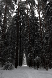 Similar image 21688533