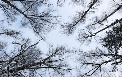 Similar image 21688534