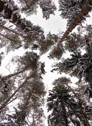 Similar image 21688535