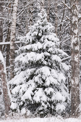 Similar image 21688536