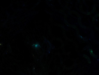 Similar image 21695224