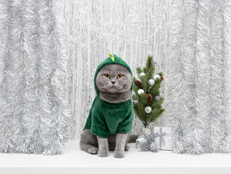 Similar image 21688059