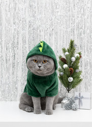 Similar image 21688060