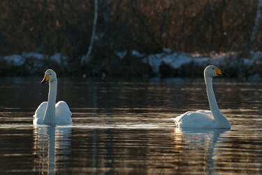 Similar image 21691890