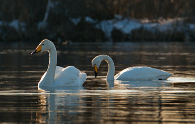 Similar image 21691892