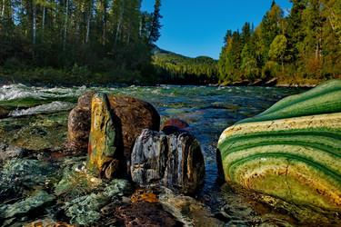 Similar image 21691893