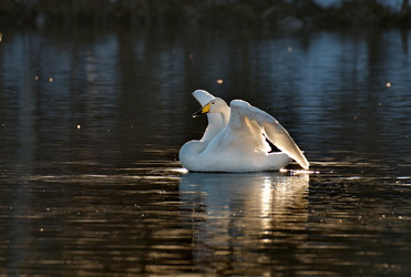 Similar image 21691898