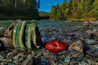 Similar image 21692102