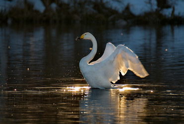 Similar image 21692103