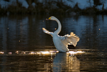 Similar image 21692105