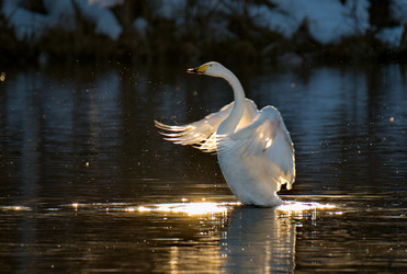 Similar image 21692107