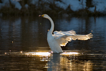 Similar image 21692109