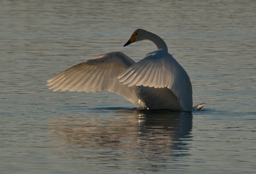 Similar image 21692111