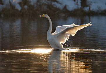 Similar image 21692113