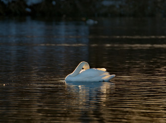 Similar image 21692114