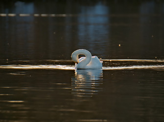 Similar image 21691521