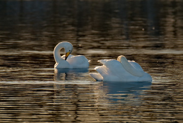 Similar image 21691522