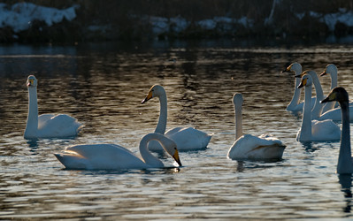 Similar image 21691523