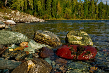 Similar image 21691524