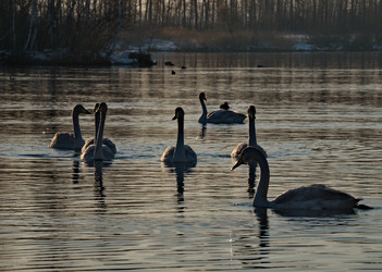 Similar image 21691531