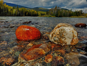 Similar image 21691532