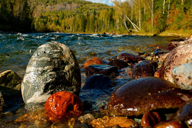 Similar image 21691535