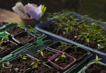 Similar image 21690332