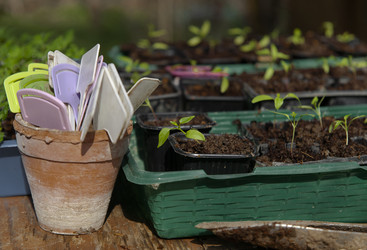 Similar image 21690333