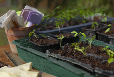 Similar image 21690334