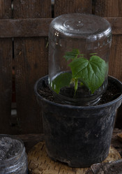 Similar image 21690339