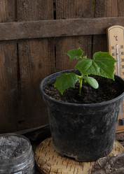 Similar image 21690340