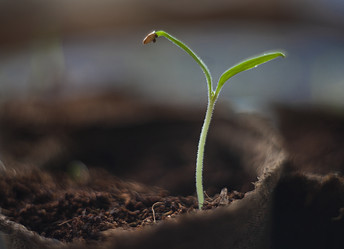 Similar image 21690341