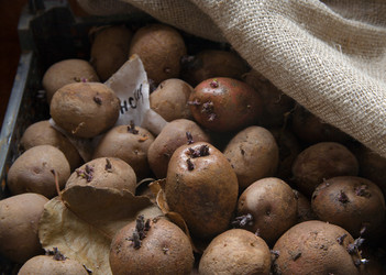 Similar image 21690342