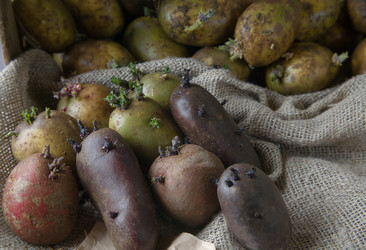 Similar image 21690343