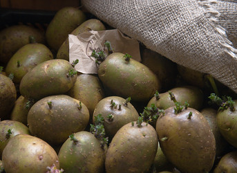 Similar image 21690344