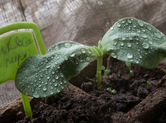 Similar image 21690345