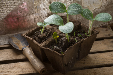 Similar image 21690346