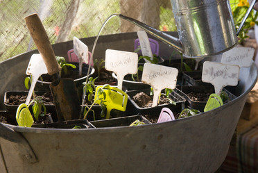 Similar image 21690347