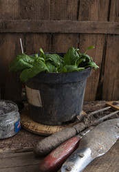 Similar image 21690348