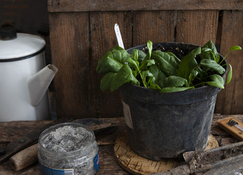 Similar image 21690349