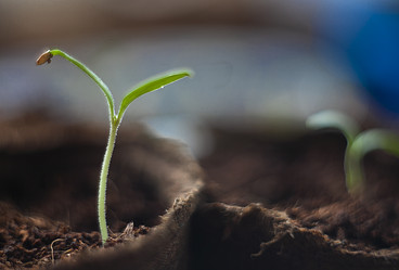 Similar image 21690350