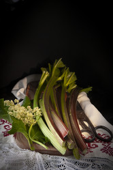 Similar image 21690359