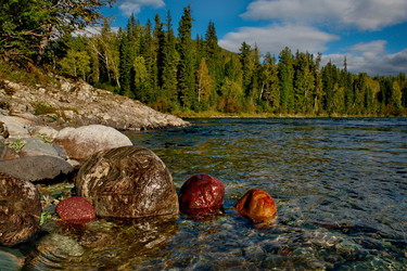 Similar image 21691543