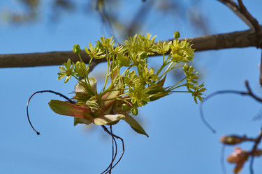 Similar image 21687689