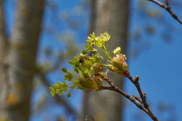 Similar image 21687692