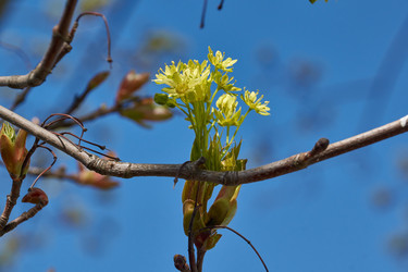 Similar image 21687693